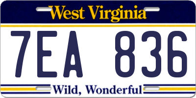 WV license plate 7EA836