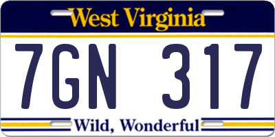 WV license plate 7GN317