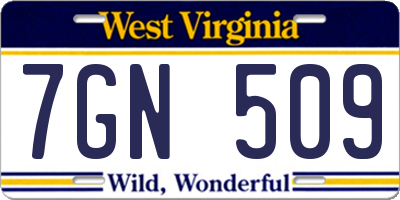 WV license plate 7GN509
