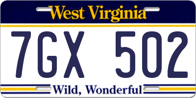 WV license plate 7GX502