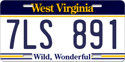 WV license plate 7LS891
