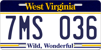 WV license plate 7MS036