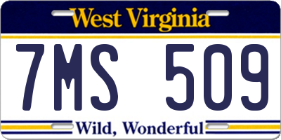 WV license plate 7MS509