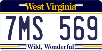 WV license plate 7MS569