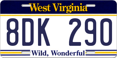 WV license plate 8DK290