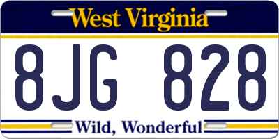 WV license plate 8JG828