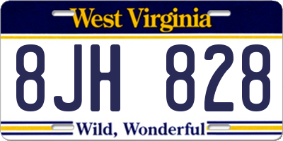 WV license plate 8JH828