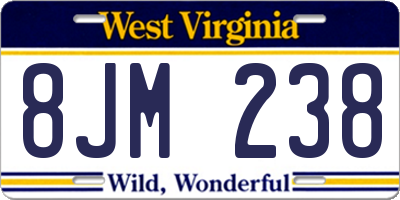 WV license plate 8JM238