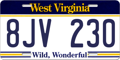 WV license plate 8JV230