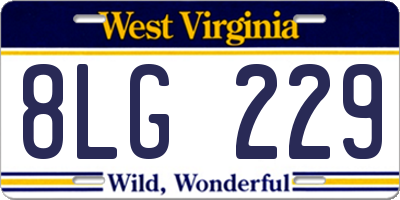 WV license plate 8LG229