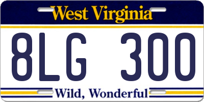WV license plate 8LG300