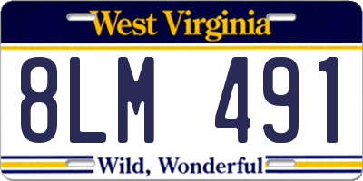 WV license plate 8LM491