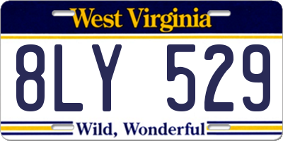 WV license plate 8LY529