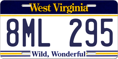 WV license plate 8ML295