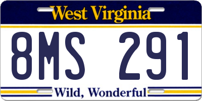 WV license plate 8MS291