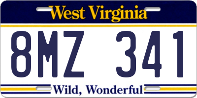 WV license plate 8MZ341