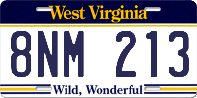WV license plate 8NM213