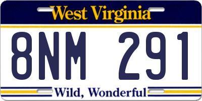 WV license plate 8NM291