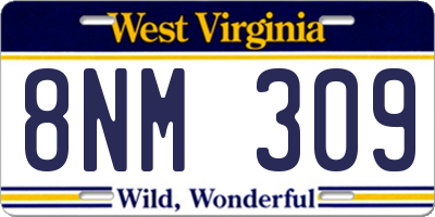WV license plate 8NM309