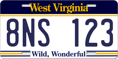 WV license plate 8NS123