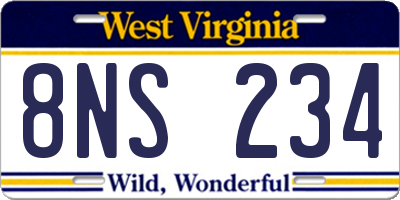 WV license plate 8NS234