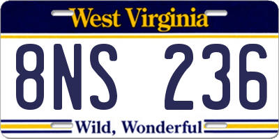 WV license plate 8NS236