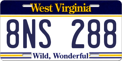 WV license plate 8NS288
