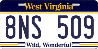 WV license plate 8NS509