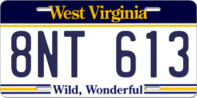 WV license plate 8NT613