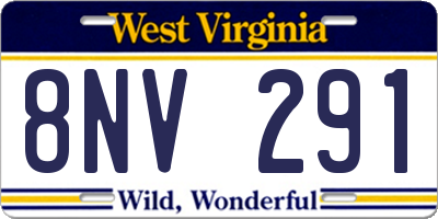 WV license plate 8NV291