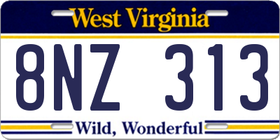 WV license plate 8NZ313