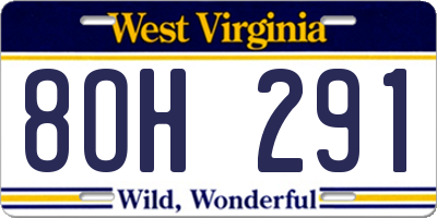 WV license plate 8OH291