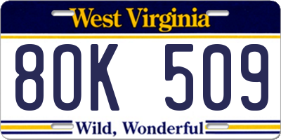 WV license plate 8OK509