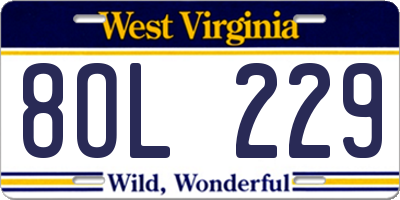 WV license plate 8OL229