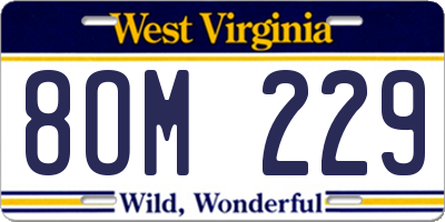 WV license plate 8OM229