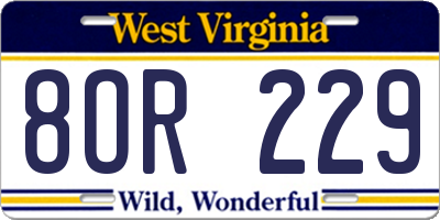 WV license plate 8OR229