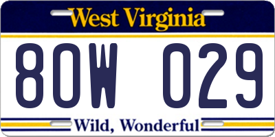 WV license plate 8OW029