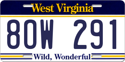 WV license plate 8OW291