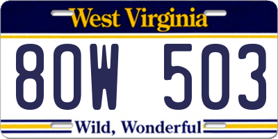 WV license plate 8OW503
