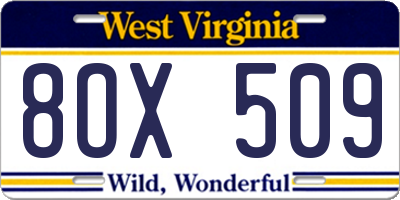 WV license plate 8OX509