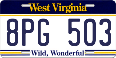 WV license plate 8PG503