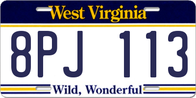 WV license plate 8PJ113