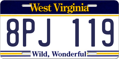 WV license plate 8PJ119