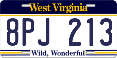 WV license plate 8PJ213