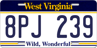 WV license plate 8PJ239