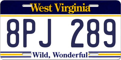 WV license plate 8PJ289
