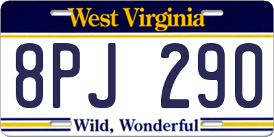 WV license plate 8PJ290