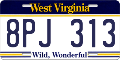 WV license plate 8PJ313