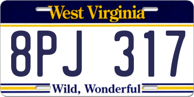 WV license plate 8PJ317