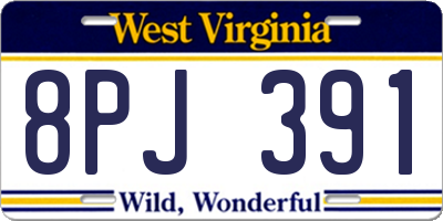 WV license plate 8PJ391